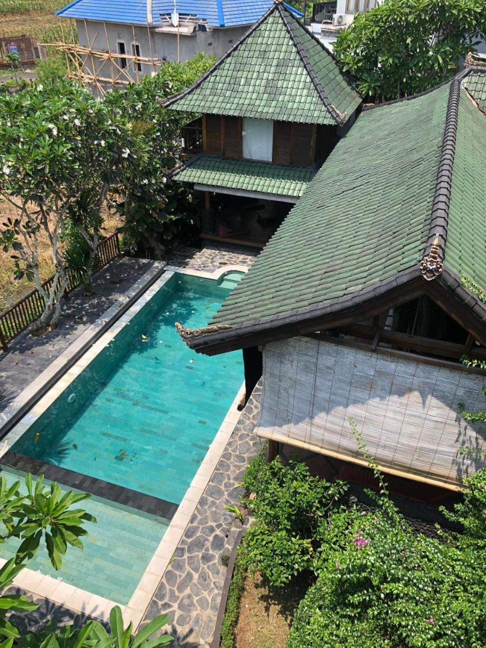 Tribe Theory Startup Village For Entrepreneurs Kuta Lombok Εξωτερικό φωτογραφία